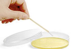 Auto-servis porodice Milanovic u El Pasu