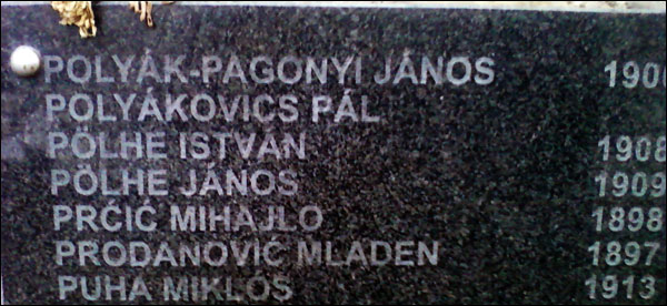 9569-ptica-slomljenih-krila-slika 9569-ptica-slomljenih-krila-slika