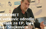 Cvetkovic2