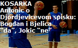 bjelica-2