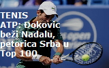 djokovic333