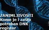 dnk11