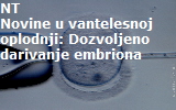 embrion