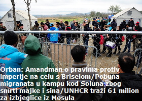 migranti55