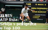novak11111