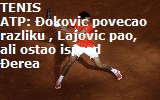 novak11111111