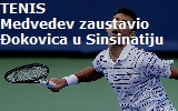 novak22