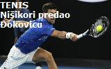 novak888888