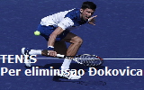 novak9999999