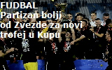 partizan kup