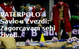 savic77