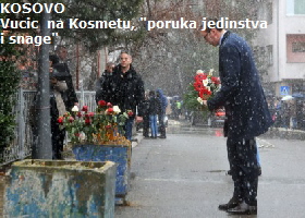 vucic8
