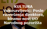 vukosavljevic8