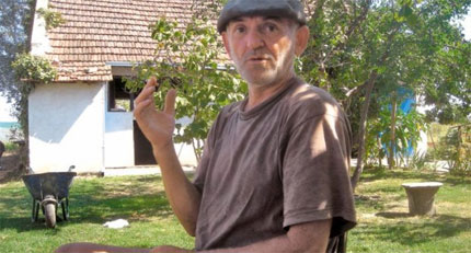 branislavmladic