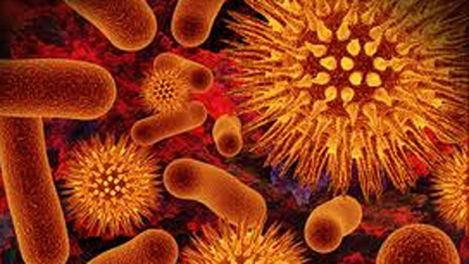 Auto-servis porodice Milanovic u El Pasu