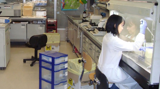 laboratorija1
