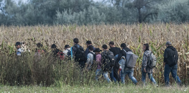 migranti 5