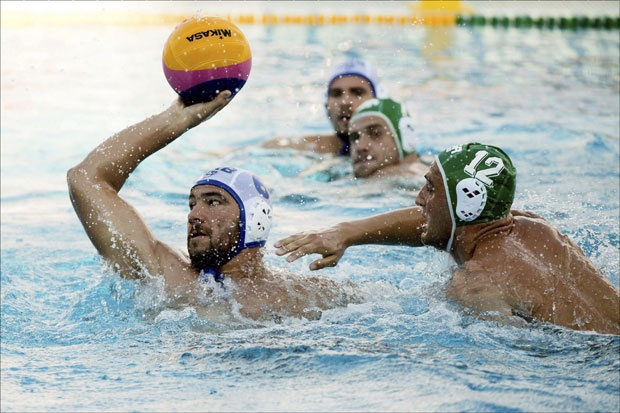 pijetlovic