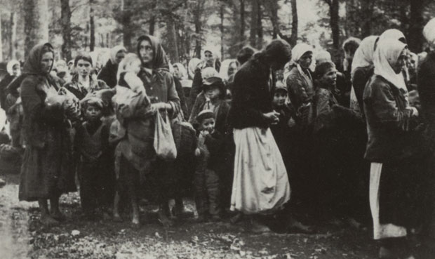 rep-kozara-2