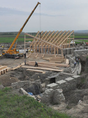 rep-viminacijum-MALA-1