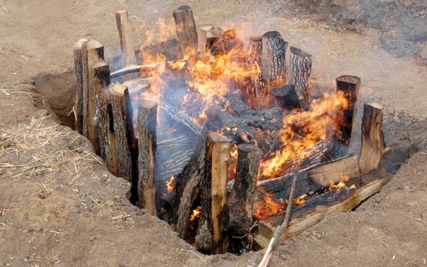 rep-viminacijum-MALA