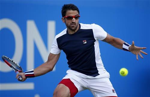 tipsarevic
