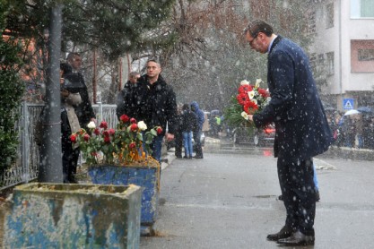 vucic8